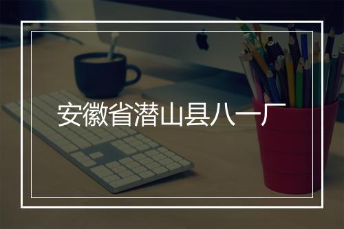 安徽省潜山县八一厂