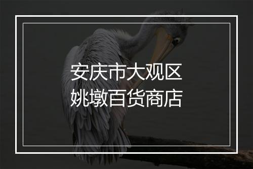 安庆市大观区姚墩百货商店