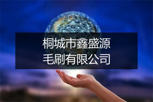 桐城市鑫盛源毛刷有限公司