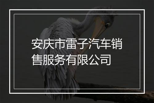 安庆市雷子汽车销售服务有限公司