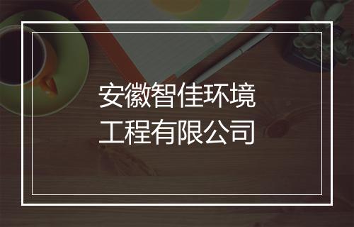 安徽智佳环境工程有限公司