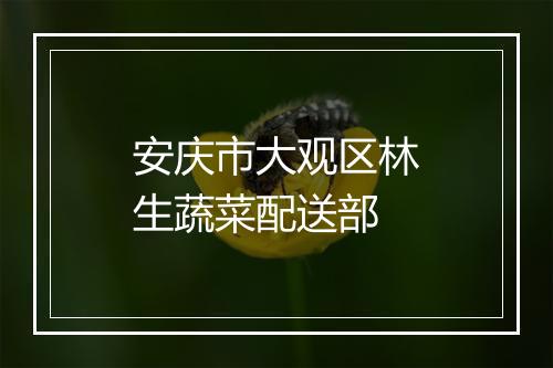 安庆市大观区林生蔬菜配送部