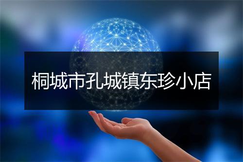 桐城市孔城镇东珍小店