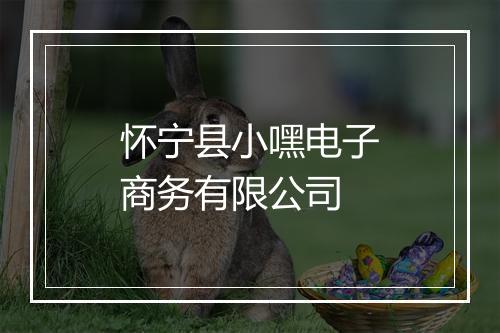 怀宁县小嘿电子商务有限公司