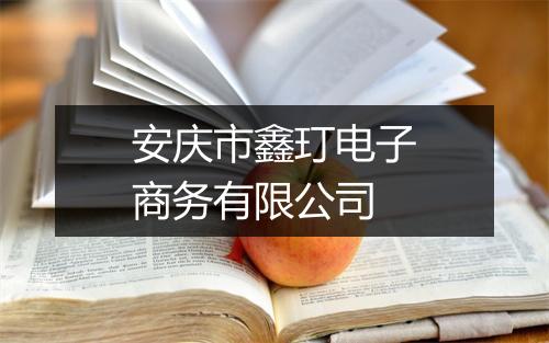 安庆市鑫玎电子商务有限公司