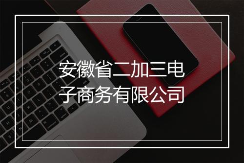 安徽省二加三电子商务有限公司