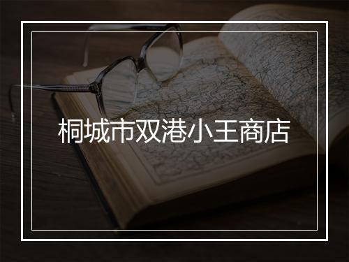 桐城市双港小王商店
