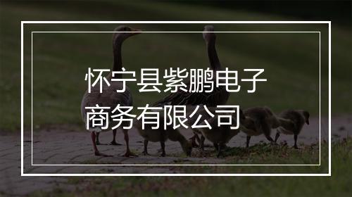 怀宁县紫鹏电子商务有限公司