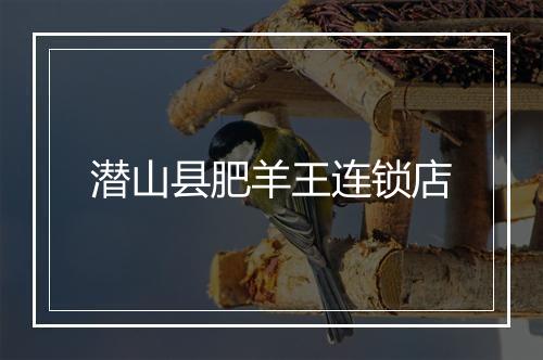 潜山县肥羊王连锁店