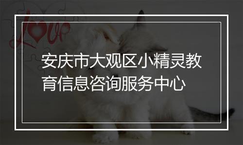 安庆市大观区小精灵教育信息咨询服务中心