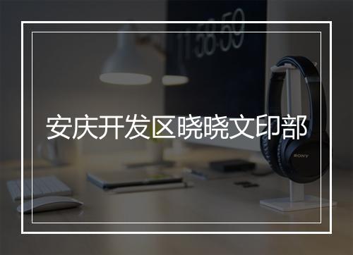 安庆开发区晓晓文印部