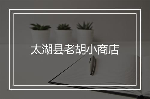 太湖县老胡小商店