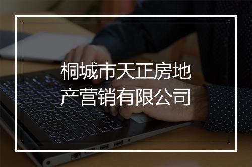 桐城市天正房地产营销有限公司