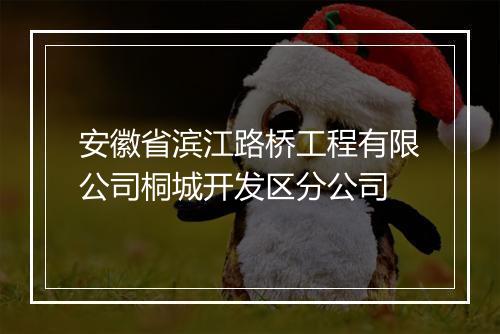 安徽省滨江路桥工程有限公司桐城开发区分公司