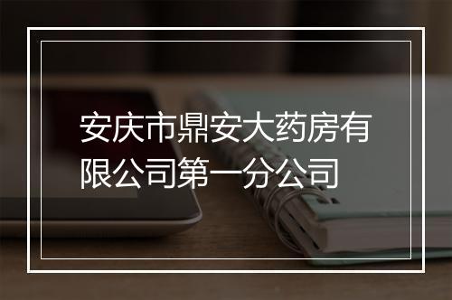 安庆市鼎安大药房有限公司第一分公司
