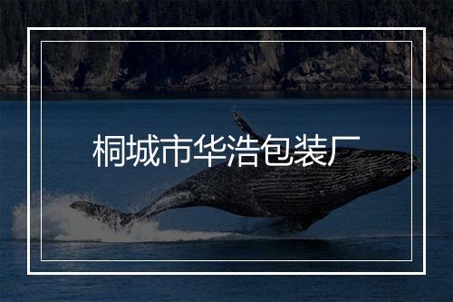 桐城市华浩包装厂