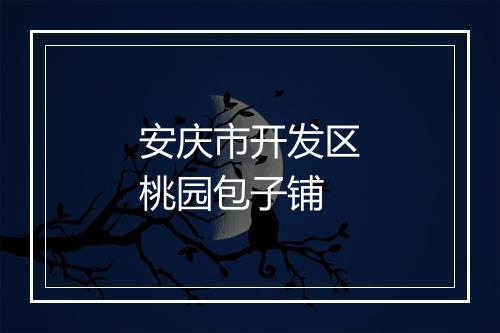 安庆市开发区桃园包子铺