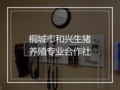 桐城市和兴生猪养殖专业合作社