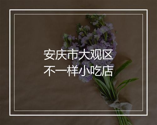 安庆市大观区不一样小吃店