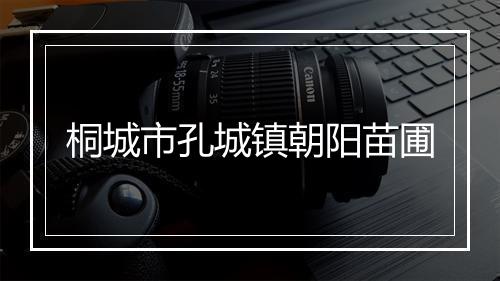桐城市孔城镇朝阳苗圃