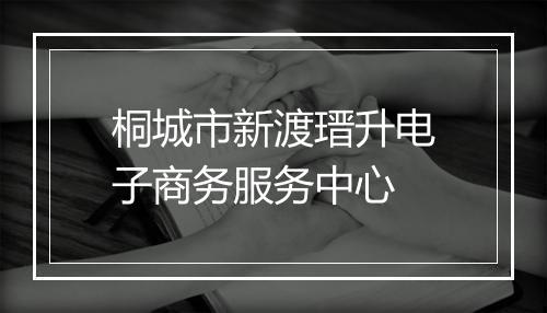 桐城市新渡瑨升电子商务服务中心