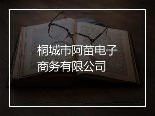 桐城市阿苗电子商务有限公司