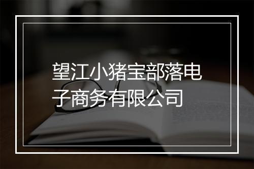 望江小猪宝部落电子商务有限公司