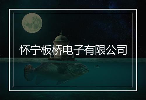 怀宁板桥电子有限公司