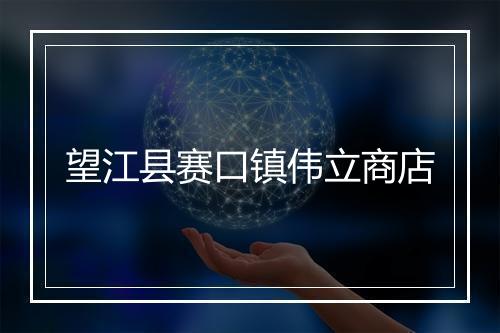 望江县赛口镇伟立商店
