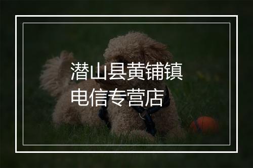 潜山县黄铺镇电信专营店