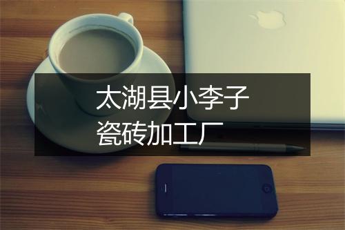 太湖县小李子瓷砖加工厂