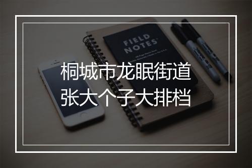 桐城市龙眠街道张大个子大排档