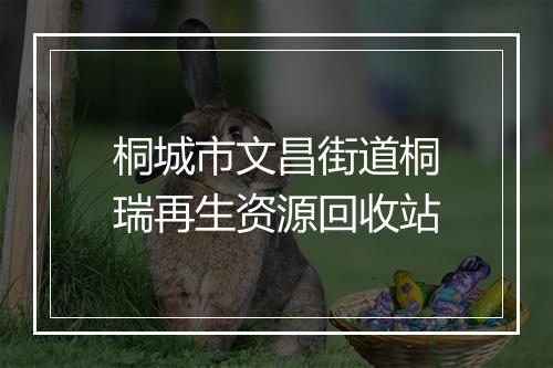 桐城市文昌街道桐瑞再生资源回收站