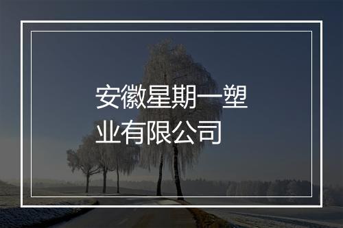 安徽星期一塑业有限公司