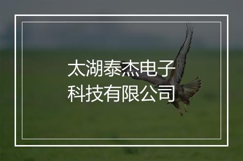 太湖泰杰电子科技有限公司