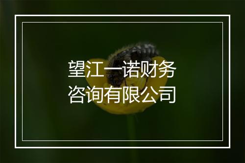 望江一诺财务咨询有限公司