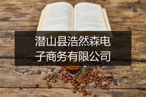 潜山县浩然森电子商务有限公司
