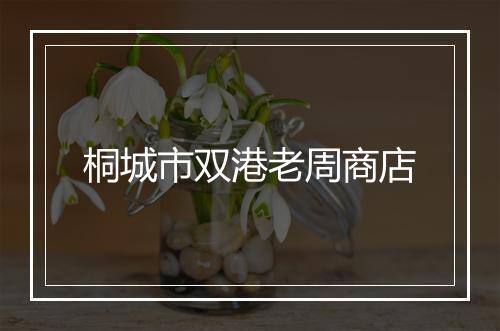 桐城市双港老周商店