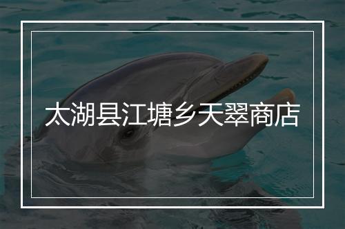 太湖县江塘乡天翠商店