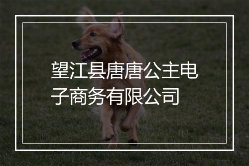 望江县唐唐公主电子商务有限公司