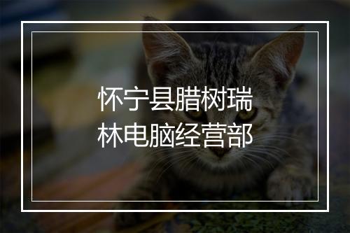 怀宁县腊树瑞林电脑经营部