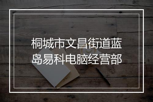 桐城市文昌街道蓝岛易科电脑经营部