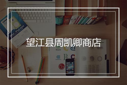 望江县周凯卿商店