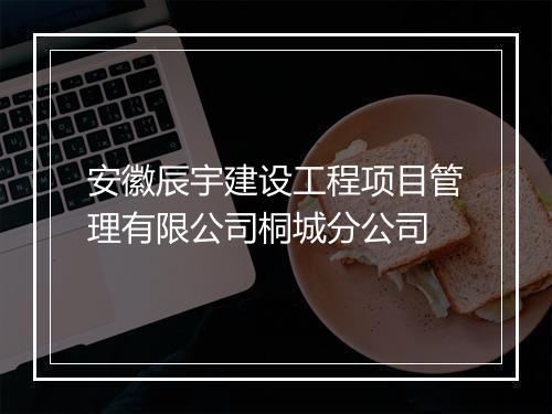 安徽辰宇建设工程项目管理有限公司桐城分公司