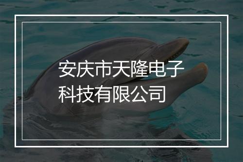 安庆市天隆电子科技有限公司