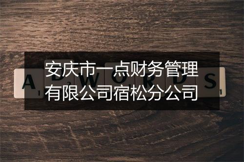 安庆市一点财务管理有限公司宿松分公司