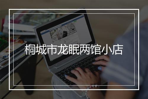 桐城市龙眠两馆小店