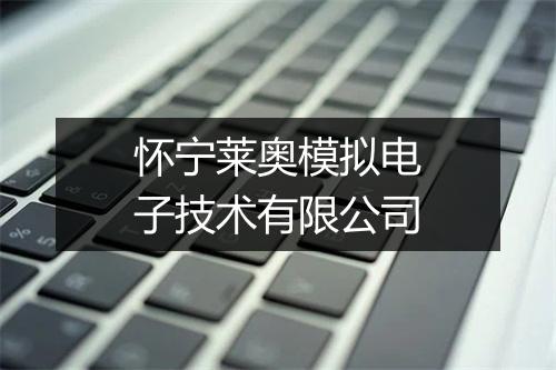 怀宁莱奥模拟电子技术有限公司