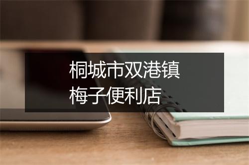 桐城市双港镇梅子便利店