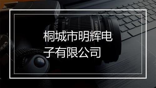 桐城市明辉电子有限公司
